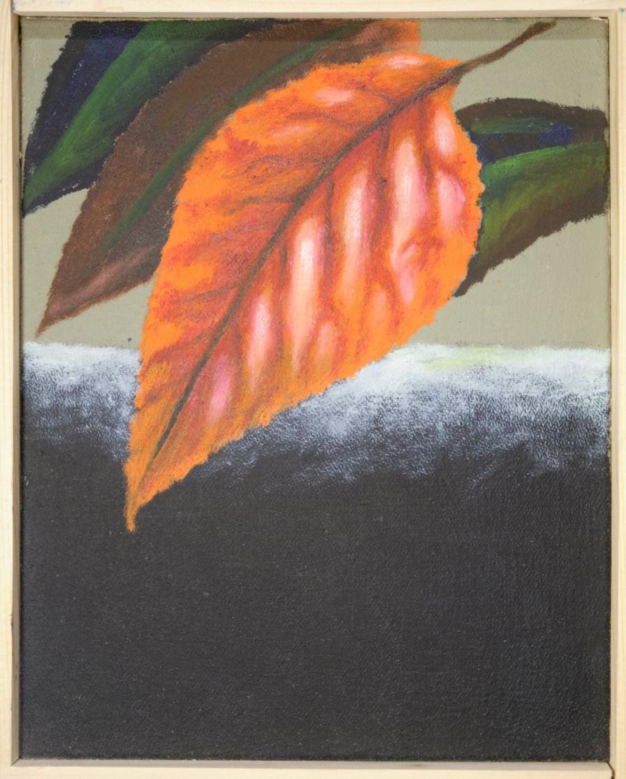 M_R15_N078